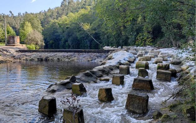 This image depicts a serene natural scene featuring a river with a unique arrangement of stones that form a pathway across the water.