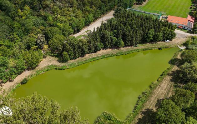 Profile picture for user Krisztián Mészáros