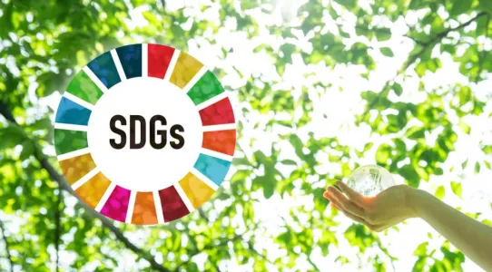 Localising SDGs