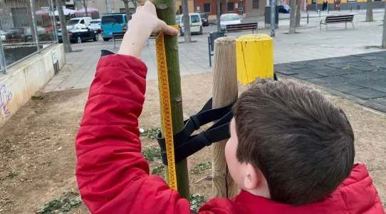 Co-Carbon Tree Measurement in Viladecans (ES)