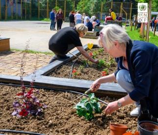 People cultivating a vegetable garden