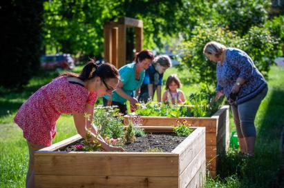 Group of people cultivating vegetable gardens