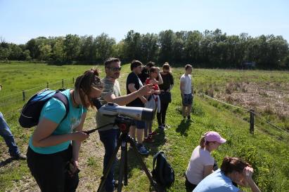 People in Ormoz, observing a field in the countryside