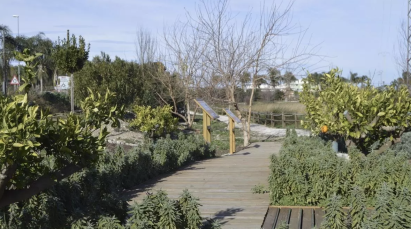 Outdoor scene featuring a wooden boardwalk or pathway winding through a natural area. 