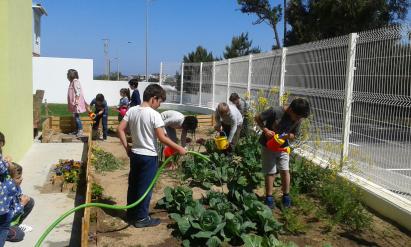 Torres Vedras - Sustainable Food School Programme
