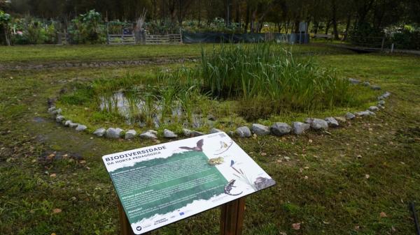 Wildlife pond in Guimarães, 2025. Photo: Laboratório da Paisagem.jpg